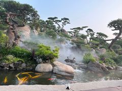 -罗红摄影艺术馆