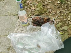 -十里琅珰