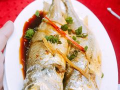 -蛇口康乐快餐鱼仔档(翠苑小区店)