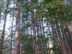 android_upload_pic-八大关景区