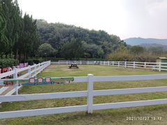 -白马涧龙池景区