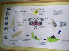 -上海昆虫博物馆