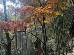 -严子陵钓台(富春江小三峡)