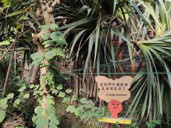 -呀路古热带植物园