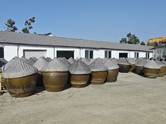 -苏州市吴中区光福窑上花果蜜饯厂