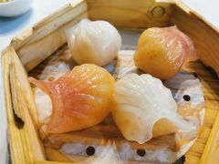 -东鑫记港式茶餐厅(南京东路店)