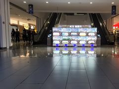 -盛京大奥莱(沈阳奥体店)