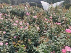 -人民公园(罗湖区)