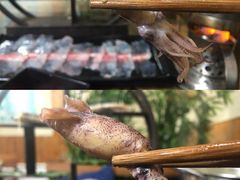 小鱿鱼-丽江庭院之丽江往事(安定门店)
