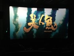-幸福蓝海国际影城(扬名IMAX店)