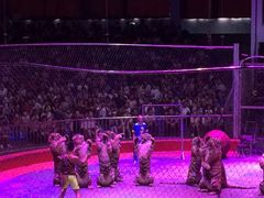 -西安秦岭野生动物园