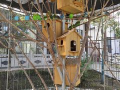 -长春农博园