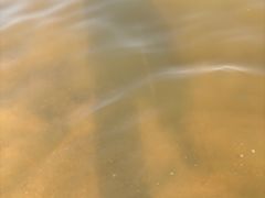 -碧海金沙