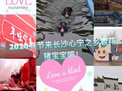 -湖南湘都生态农业园