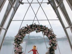 -大塘金香草谷