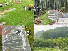 -黄埔油麻山森林公园