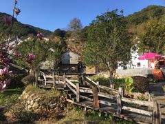 -雁南飞茶田景区