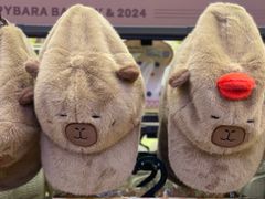 -首开·龙湖成都西宸天街