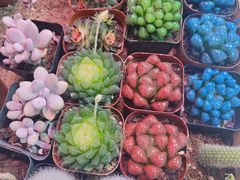 -三旗百汇商品城