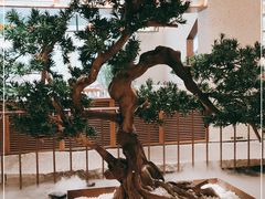 -十二粤味·顺德菜·烧鹅点心(五四广场店)