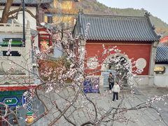 -千佛山风景名胜区-历山院