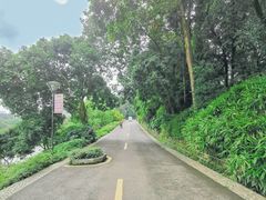 -张坝桂圆林公园