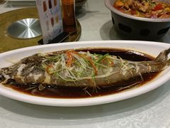 -巴依老爷新疆美食(望京小街店)