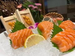 -黑松白鹿(崇文门新活馆店)
