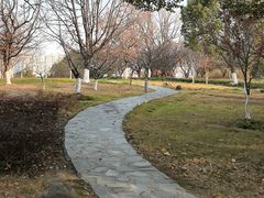 -白塘生态植物园