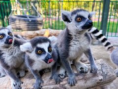 -水上乐园·欢乐世界