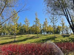 -瀛海足球主题公园