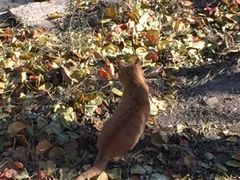 -长辛店二七公园