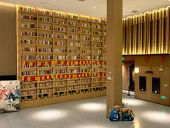-深影国际影城(学院南路店CGS中国巨幕店)