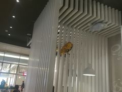 大堂-吕氏疙瘩汤·海鲜新鲁菜(凯德mall新都心店)