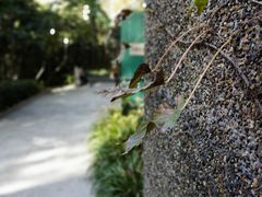 -巴金故居