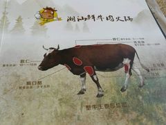 -潮汕牛肉火锅(铁西店)