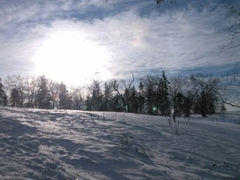 android_upload_pic-雪谷