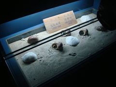 -亚龙湾中心广场·贝壳馆