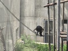 -太原动物园