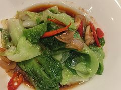 -金鼎轩(方庄天坛店)