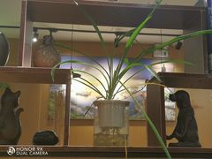 -南小蟹手工點心(三里屯店)