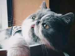 -熙顺紫菜包饭(三孔旅游区曲阜明故城店)