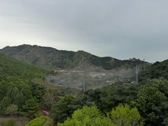-燕塞湖鸟语林景区