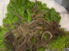 -德龙火锅(松源街直营店)