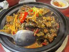 -火焰金龟甲(汉阳江滩旗舰店)