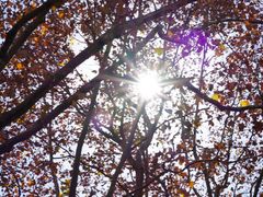 -同济大学本部学苑饮食广场