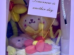 -小象猛犸(炫地购物中心店)