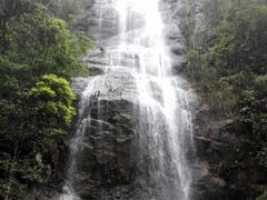 -九龙江国家森林公园