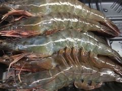 -健晟星期天火锅(宝清店)