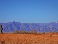 -野鸭湖国家湿地公园